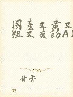 国产又黄又猛又粗又爽的A片小说