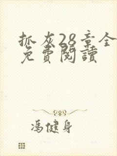 抓灰28章全部免费阅读