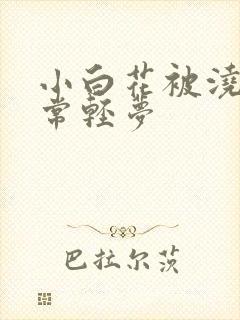 小白花被浇灌日常轻梦