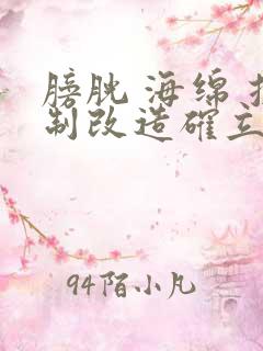 膀胱 海绵 控制改造确立m