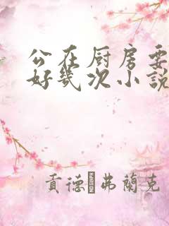 公在厨房要了我好几次小说