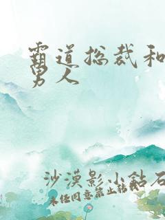 霸道总裁和他的男人