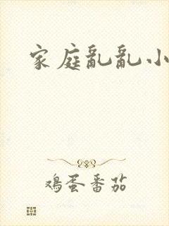家庭乱乱小说