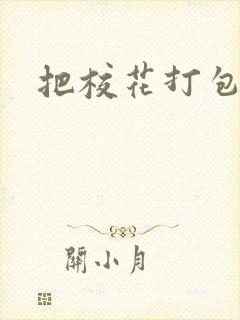 把校花打包带走