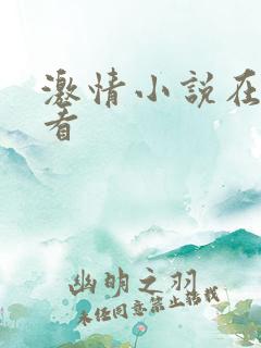 激情小说在线观看