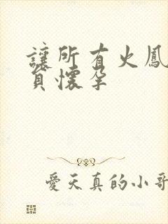 让所有火凤凰队员怀孕