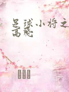 足球小将之展翅高飞