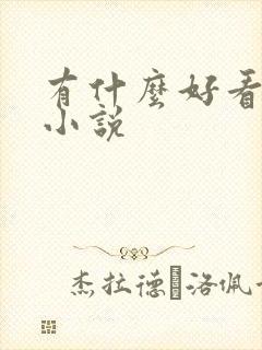 有什么好看的h小说