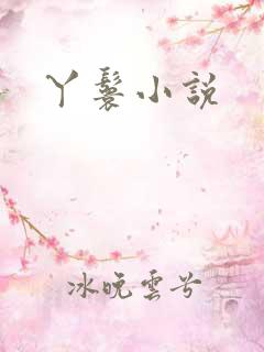丫鬟小说