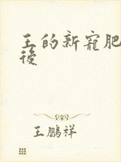 王的新宠肥婆皇后
