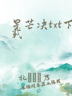星芒决txt下载