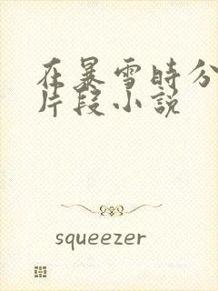 在暴雪时分高能片段小说