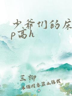 少爷们的床奴np高h