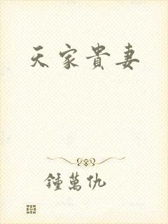 天家贵妻