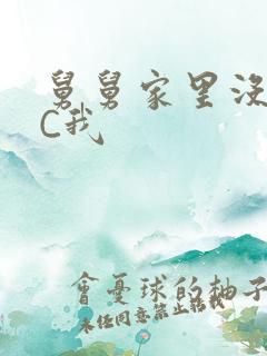 舅舅家里没人快C我