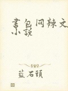 书包网辣文全本小说