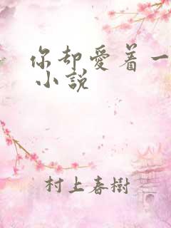 你却爱着一个他 小说