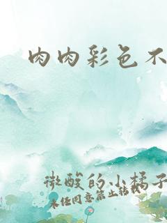 肉肉彩色不遮挡