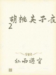 胡桃夹子夜未眠2