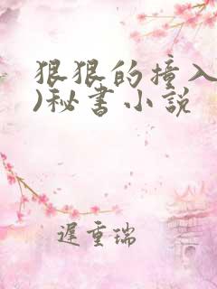 狠狠的撞入(h)秘书小说