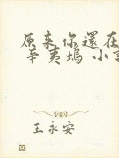 原来你还在这里 辛夷坞 小说