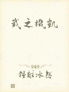 武之机凯