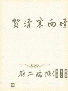 贺清寒向晴小说