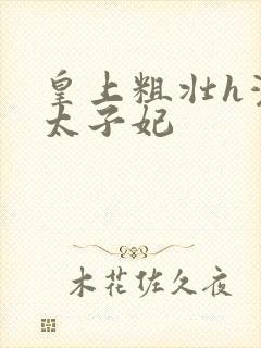 皇上粗壮h灌满太子妃