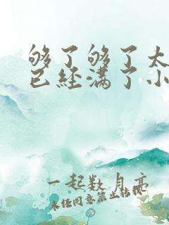 够了够了太多了已经满了小说