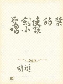 圣剑使的禁咒咏唱小说