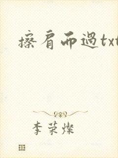 擦肩而过txt