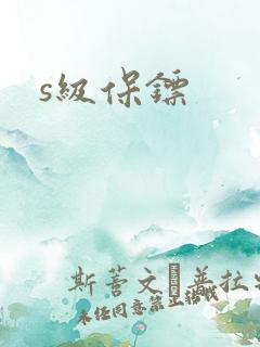 s级保镖