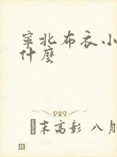 宁北布衣小说叫什么