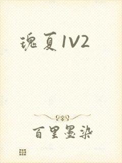 瑰夏1V2