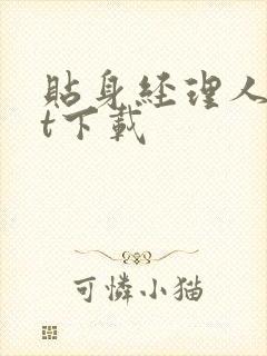 贴身经理人txt下载