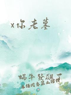 x你老墓