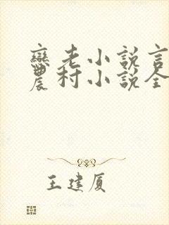 恋老小说言情网农村小说全文阅读