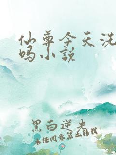 仙尊今天洗白了吗小说