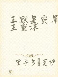 王默是灵犀阁公主灵沫