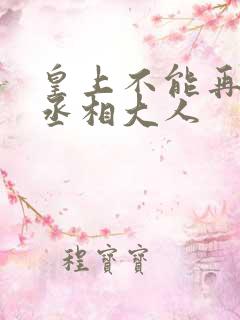 皇上不能再进了丞相大人