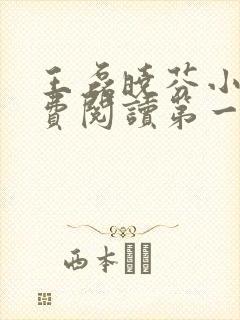 王磊晓芬小说免费阅读第一章