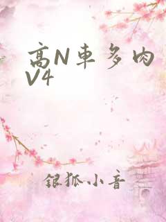高N车多肉多1V4
