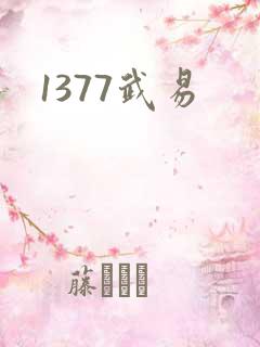 1377武易
