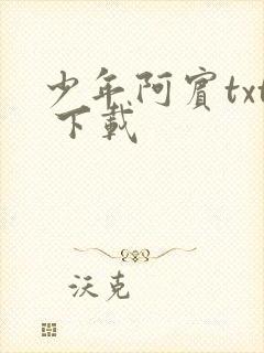 少年阿宾txt 下载