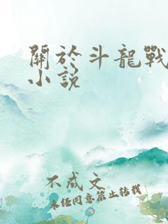 关于斗龙战士的小说