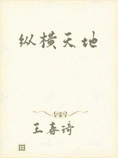 纵横天地