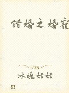 错婚之婚宠一世