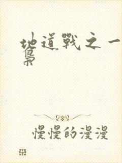 地道战之一代功枭