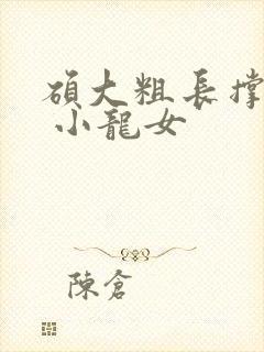 硕大粗长撑裂了 小龙女