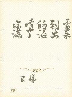 你喷的到处都是满了溢出来了